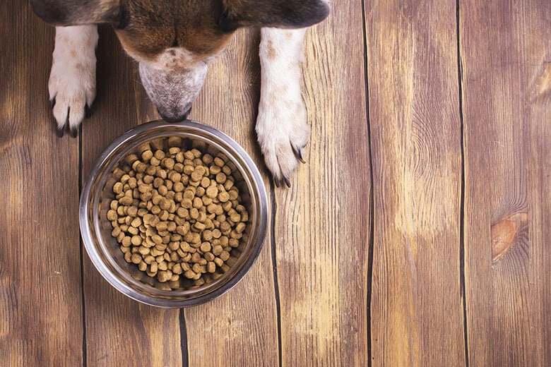 10 Best Dog Foods for Dogs With Allergies in 2025, Vet Recommended