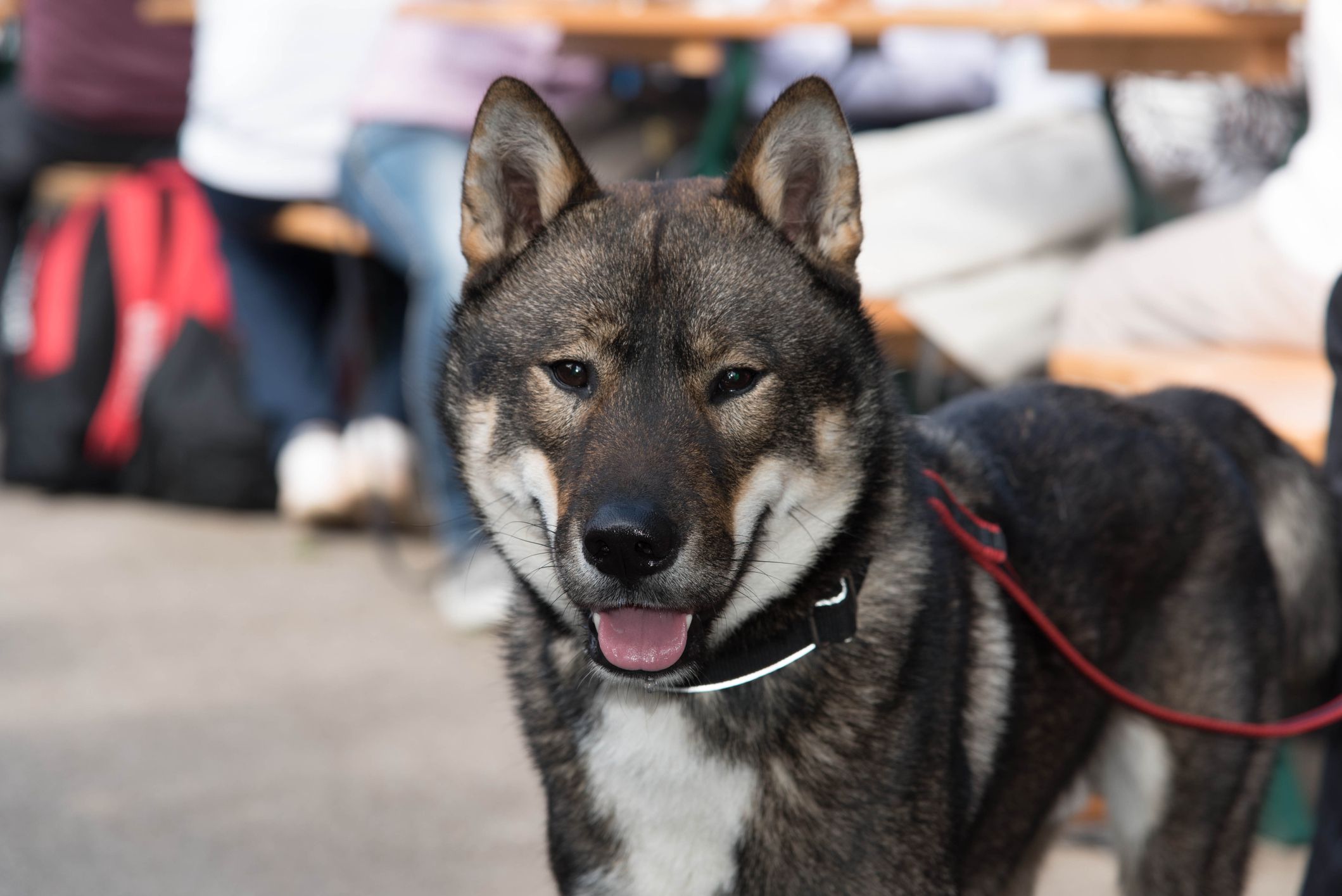 Shikoku