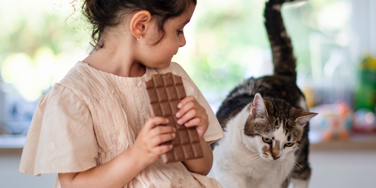 Can cats eat chocolate without harm? The dangers explained