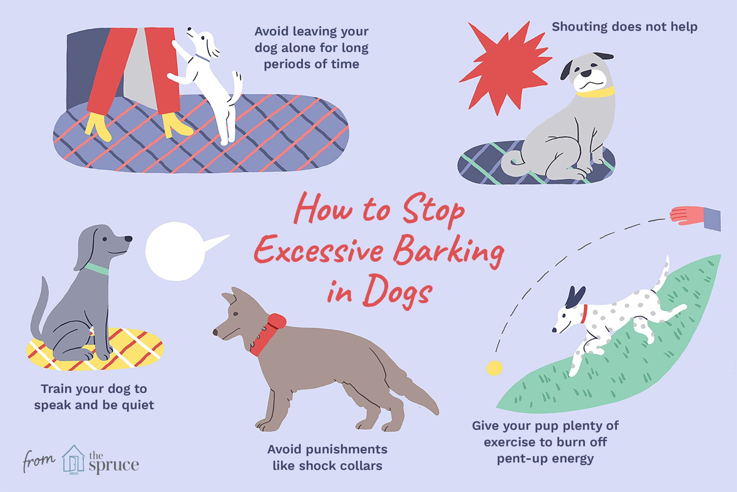 Why won’t my dog bark? When should you worry about it?