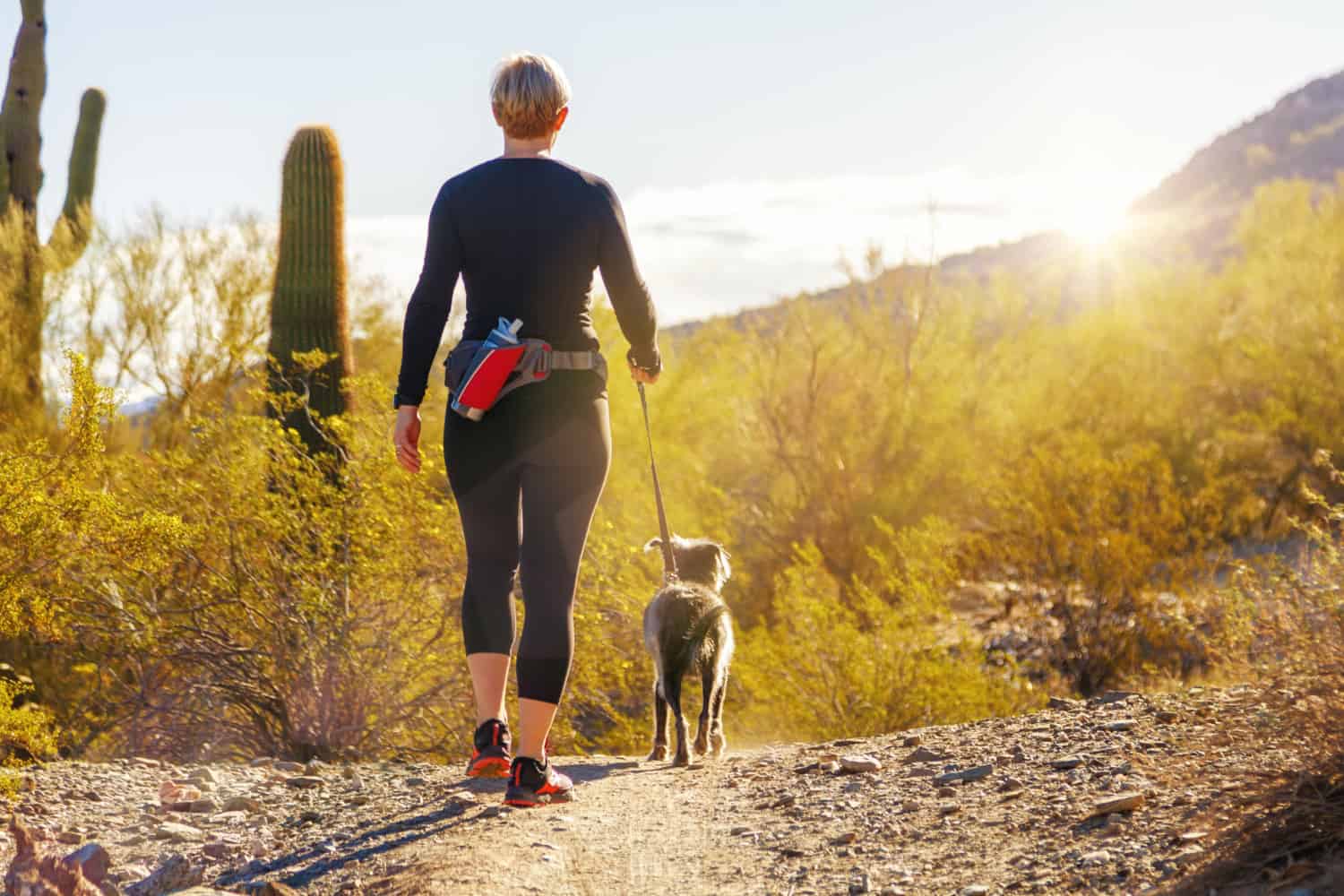 Visiting Arizona’s National Parks With Pets: A Guide for Pet-Friendly Adventures